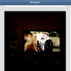 Illustration for article titled Your Instagram Feed Is Now on the Web
